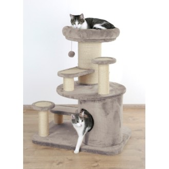 Cat Tree Oldie