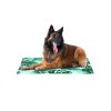 FreeDog ECO Cool Bed SABANA 50 x 40cm espuma 100 Recycled